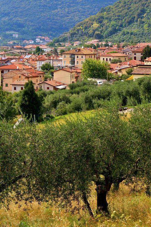 Hotel Miramonti Enoteca Pove del Grappa Kültér fotó